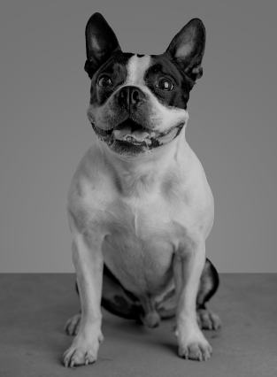 Tino